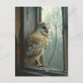 Rustieke uil in het raam Art Briefkaart (Voorkant)