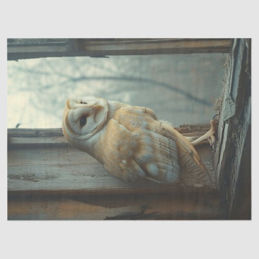 Rustieke uil in het raam Art Decoupage Tissuepapier (Voorkant)