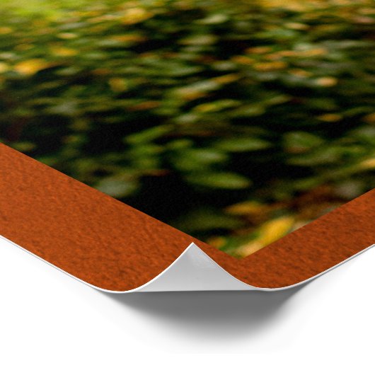 Rustieke Verbrande Oranje Foto Herfst Bruiloft Wel Poster (Hoek)