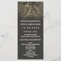 Rustieke verlichte boom tak bruiloft programma's