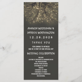 Rustieke verlichte boom tak bruiloft programma's