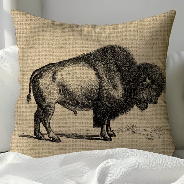 Rustieke Vintage Lijnkunst Buffalo Kussen (Creator heeft geüpload)