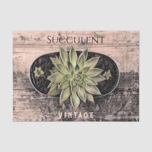 Rustieke Vintage Succulent Groene Botanische Ephem Tissuepapier (Voorkant)