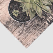 Rustieke Vintage Succulent Groene Botanische Ephem Tissuepapier (Detail)