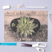 Rustieke Vintage Succulent Groene Botanische Ephem Tissuepapier (Craft)