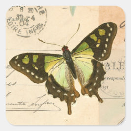 Rustieke  vlinder in groene sticker