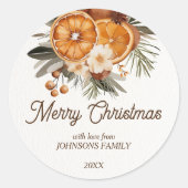 Rustieke Vrolijke Kerstmis botanische droge citrus Ronde Sticker (Voorkant)