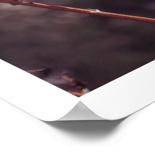 Rustieke warme herfst wilde bloem boerderij muurku poster (Hoek)