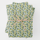 Rustieke Waterverf Groene Olijftakken Patroon Inpakpapier Vel (In situ)