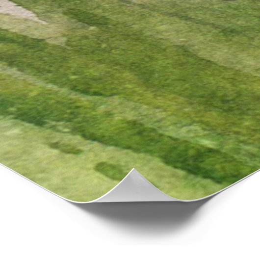 rustieke Waterverf muis Poster (Hoek)