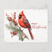 Rustieke Waterverf Winterkardinaal Holly Branch Feestdagenkaart (Voorkant)