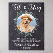 Rustieke Welkom Persoonlijke Hond Foto Hond Huweli Poster (Voorkant)