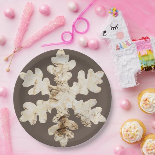 Rustieke winter Berkenhout sneeuwvlok bruin wit Papieren Bordje (Feest)