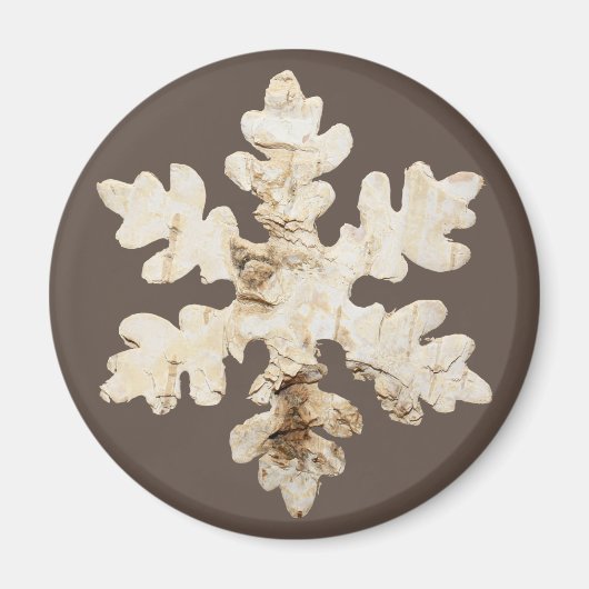 Rustieke winter Birchwood sneeuwvlok bruin wit Magneet (Voorkant)