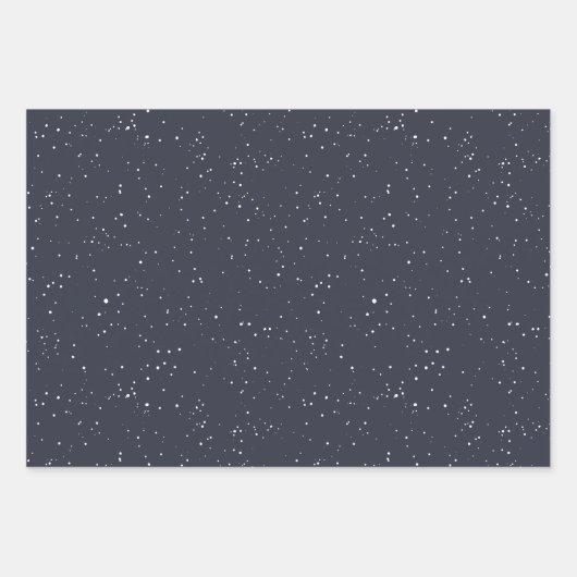 Rustieke Winter Pinecone Wrapping Paper Set (Voorkant 2)