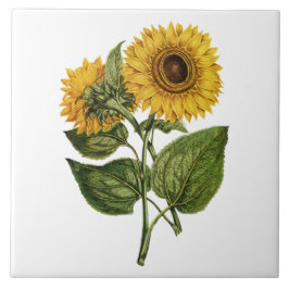 Rustieke Zonnebloem Decoratie Tegeltje