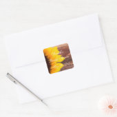 Rustieke Zonnebloem Foto Vrijgezellenfeest Vierkante Sticker (Envelop)