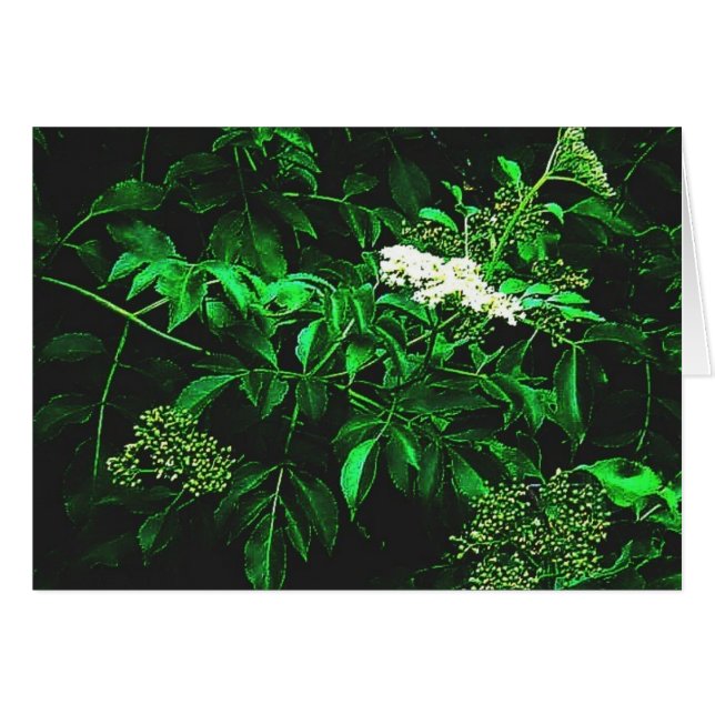 rustig (Voorkant Horizontaal)