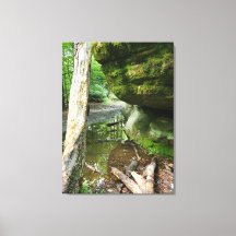 Rustig boscanvasprint | Echt landschap