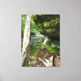 Rustig boscanvasprint | Echt landschap Canvas Afdruk