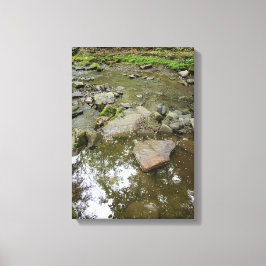 Rustig boscanvasprint | Echt landschap thuis Canvas Afdruk