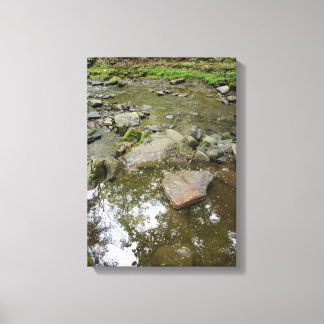 Rustig boscanvasprint | Echt landschap thuis Canvas Afdruk