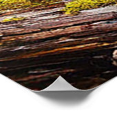 Rustig bosmoeras met weelderig groen poster (Hoek)