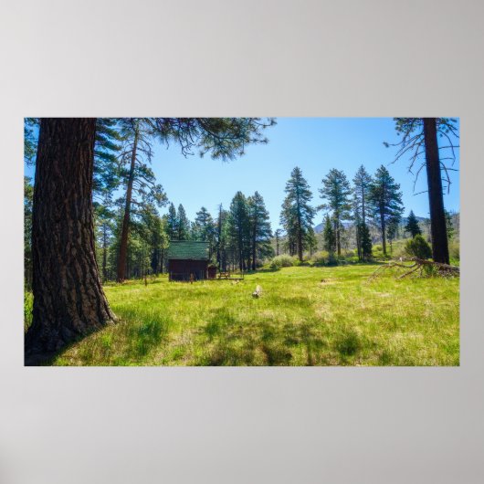 Rustig bosposter met hut Refuge Forest Poster (Voorkant)