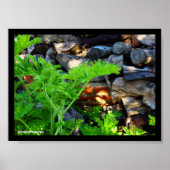 Rustig Citronella Blad Poster (Voorkant)