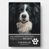 Rustig huisdier voor altijd in onze harten | Foto- Fotoplaat (voorkant)