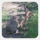 Rustig konijn in de natuur vierkante sticker (Voorkant)
