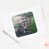 Rustig konijn in de natuur vierkante sticker (Envelop)