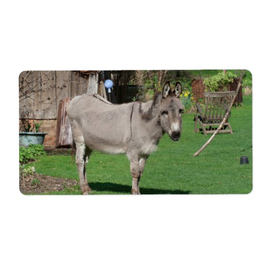 Rustig landschap met ezel etiket (Voorkant)