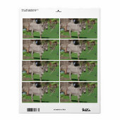Rustig landschap met ezel etiket (Full Sheet)