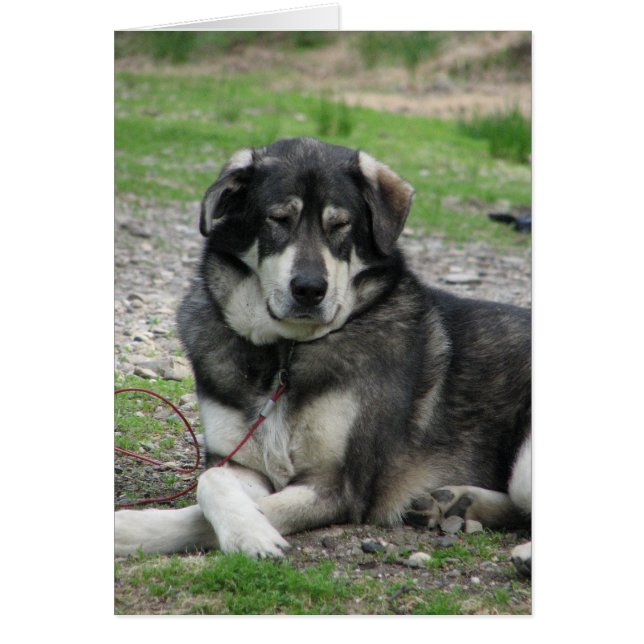 Rustig maar. (Voorkant)