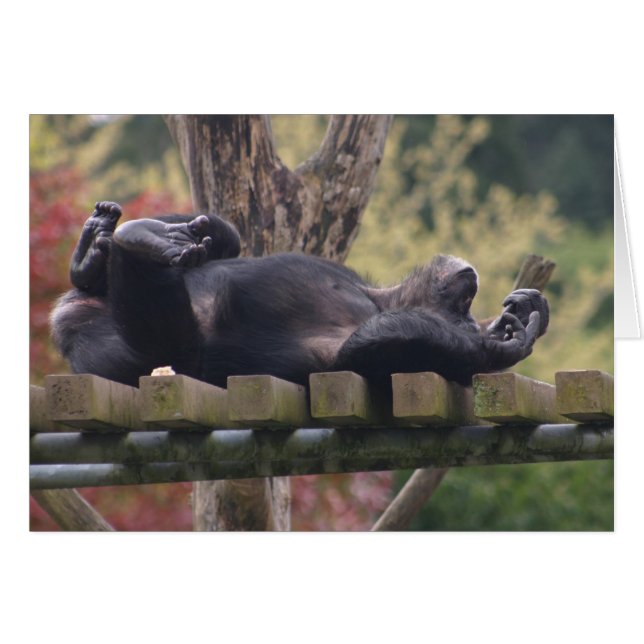 Rustig maar. (Voorkant Horizontaal)