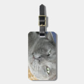 Rustig maar. Grijs Spinnend Kat Bagagelabel (Voorkant verticaal)