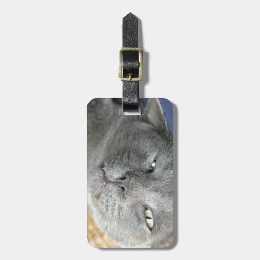 Rustig maar. Grijs Spinnend Kat Bagagelabel (Voorkant verticaal)