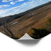 Rustig moerassig wetland Yorktown Virginia Poster (Hoek)