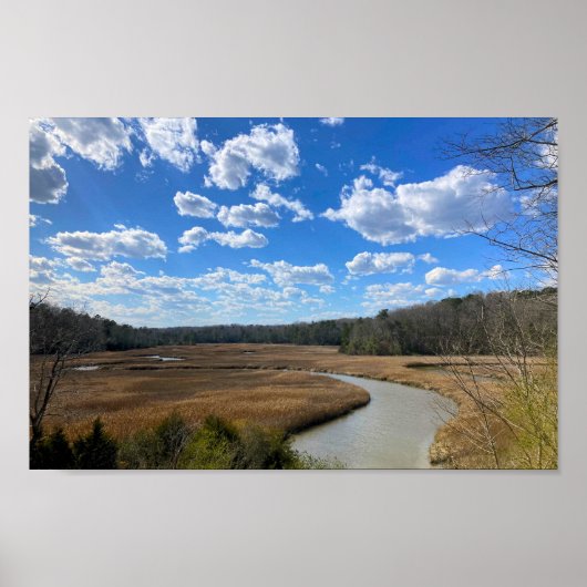 Rustig moerassig wetland Yorktown Virginia Poster (Voorkant)