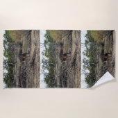 Rustig moment: Australische kangoeroe bij Billabon Strandlaken (Voorkant)