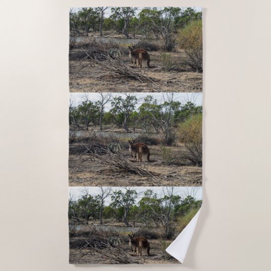 Rustig moment: Australische kangoeroe bij Billabon Strandlaken (Voorkant)