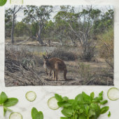 Rustig moment: Australische kangoeroe bij Billabon Theedoek (Gevouwen)