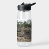 Rustig Moment: Australische Kangoeroe bij Billabon Waterfles (Links)