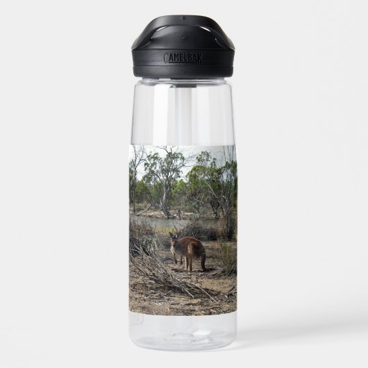 Rustig Moment: Australische Kangoeroe bij Billabon Waterfles (Achterkant)