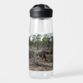 Rustig Moment: Australische Kangoeroe bij Billabon Waterfles (Voorkant)