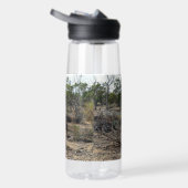 Rustig Moment: Australische Kangoeroe bij Billabon Waterfles (Rechts)