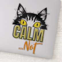 Rustig...niet. De vele stemmingen van de kat