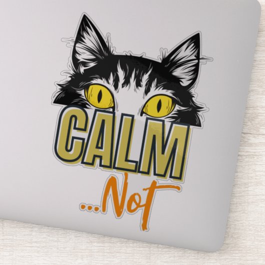 Rustig...niet. De vele stemmingen van de kat Sticker (Detail)