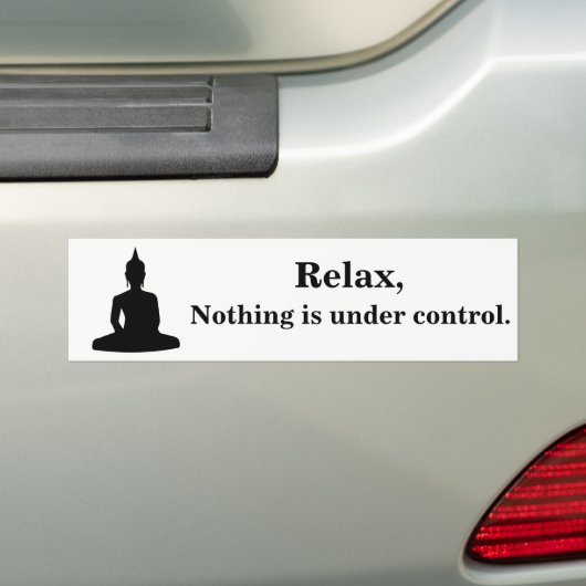 Rustig, niets is onder controle. bumpersticker (Op auto)